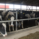 Hello, ladies (Image: Gizmodo)